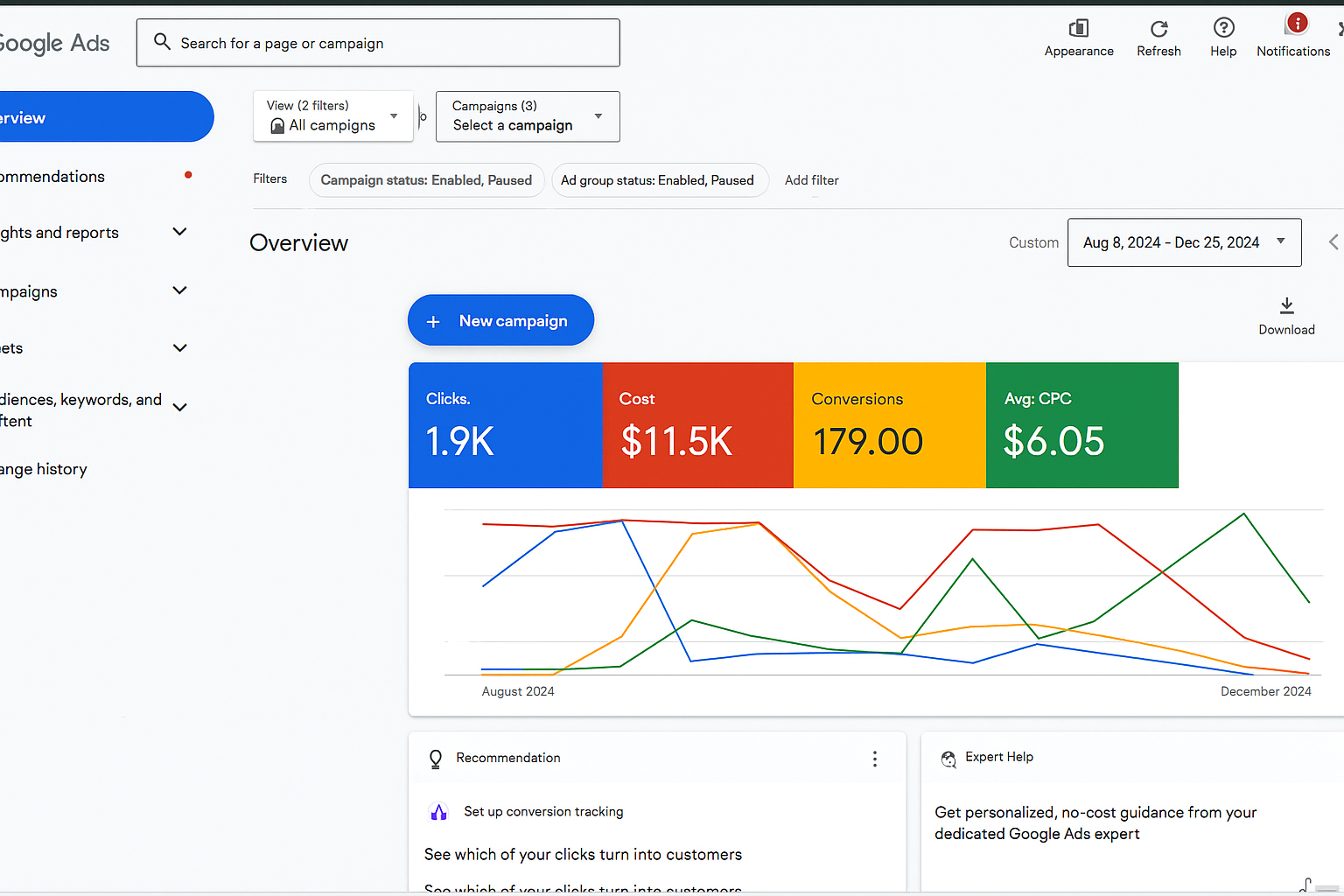Google Ads Portfolio Overview